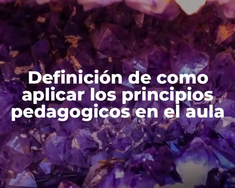 Definición de como aplicar los principios pedagogicos en el aula
