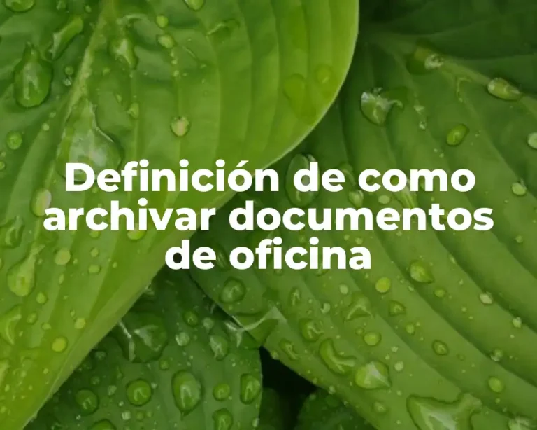 Definición de como archivar documentos de oficina