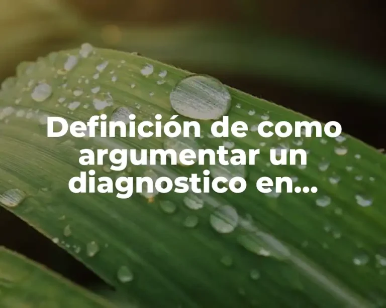 Definición de como argumentar un diagnostico en preescolar