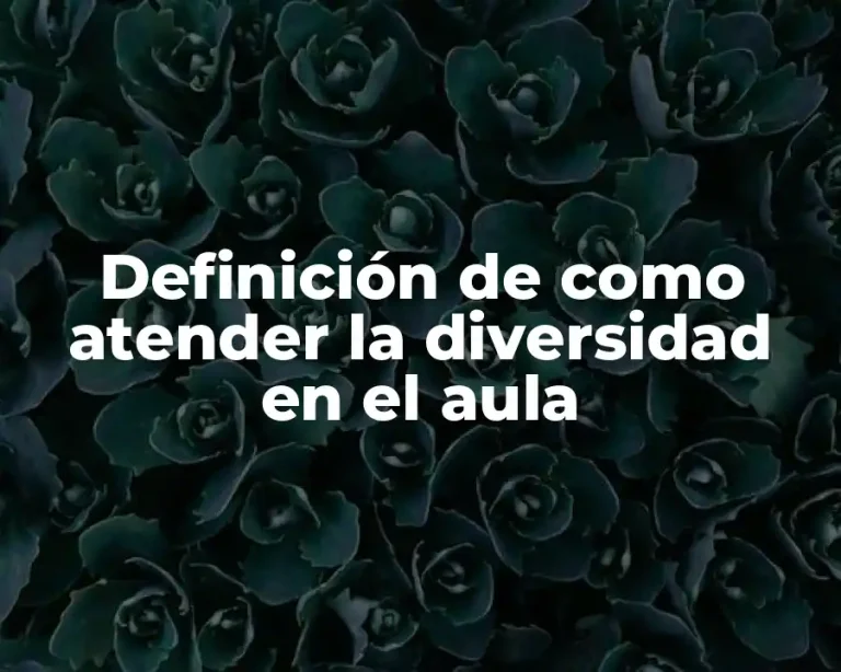 Definición de como atender la diversidad en el aula