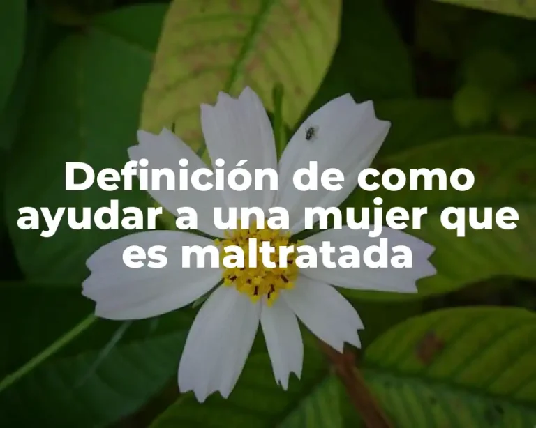 Definición de como ayudar a una mujer que es maltratada
