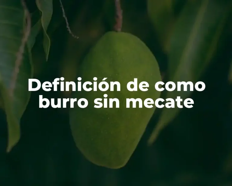 Definición de como burro sin mecate