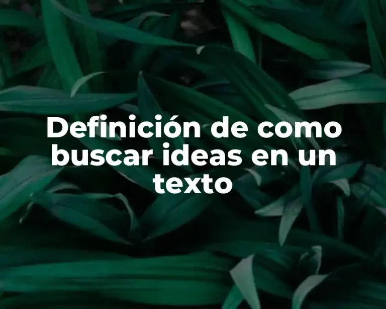 Definición de como buscar ideas en un texto
