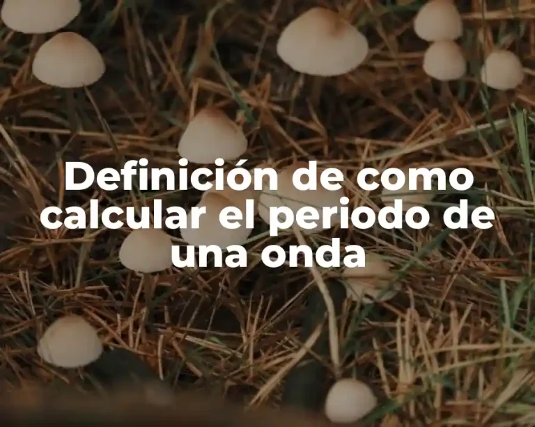 Definición de como calcular el periodo de una onda