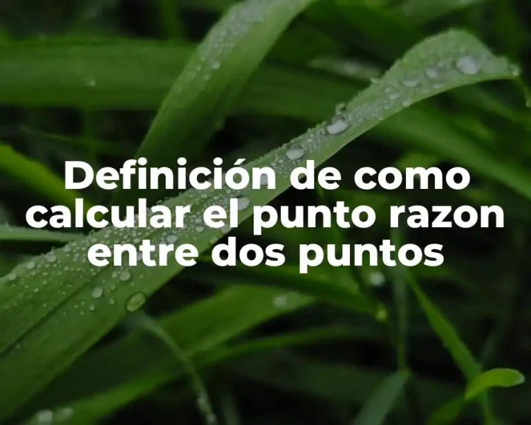 Definición de como calcular el punto razon entre dos puntos