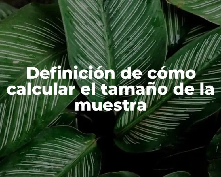 Definición de cómo calcular el tamaño de la muestra