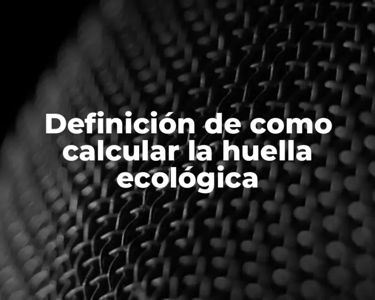 Definición de como calcular la huella ecológica