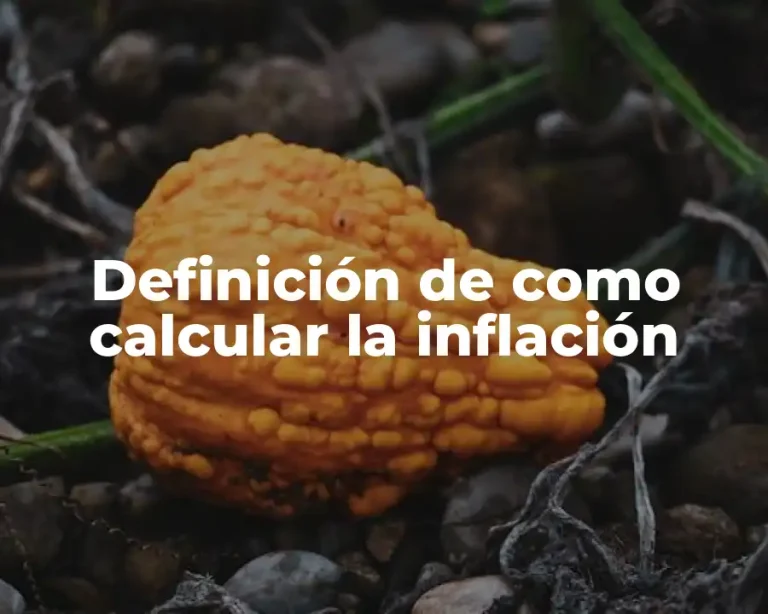 Definición de como calcular la inflación