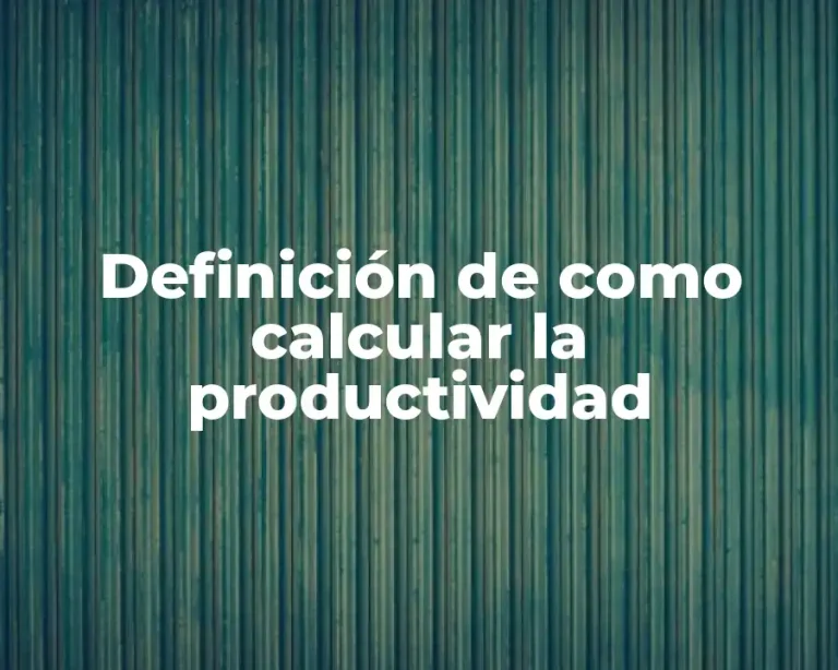 Definición de como calcular la productividad