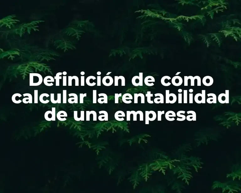 Definición de cómo calcular la rentabilidad de una empresa
