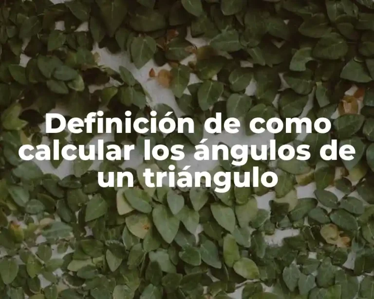Definición de como calcular los ángulos de un triángulo
