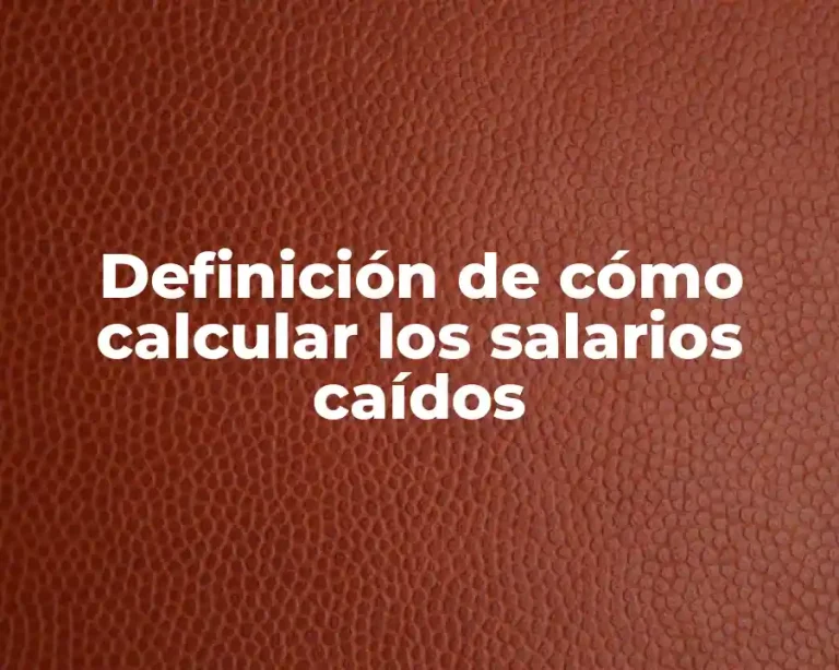 Definición de cómo calcular los salarios caídos