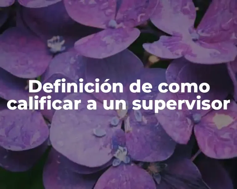 Definición de como calificar a un supervisor