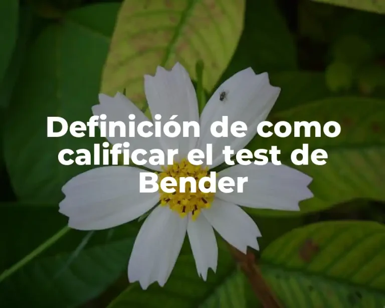 Definición de como calificar el test de Bender