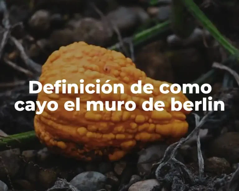 Definición de como cayo el muro de berlin