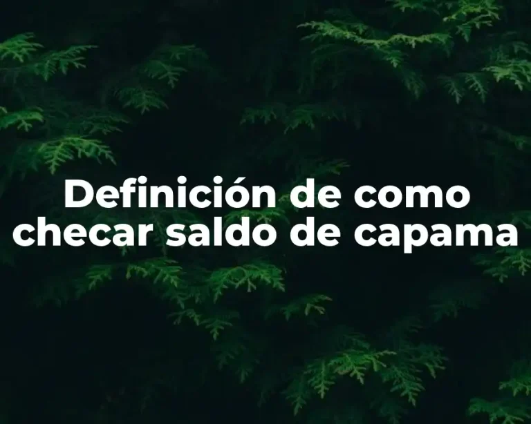 Definición de como checar saldo de capama