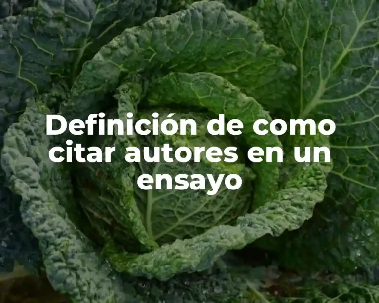 Definición de como citar autores en un ensayo