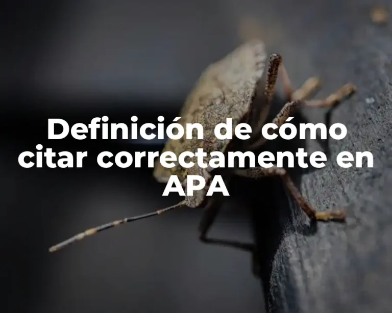 Definición de cómo citar correctamente en APA