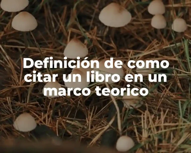 Definición de como citar un libro en un marco teorico