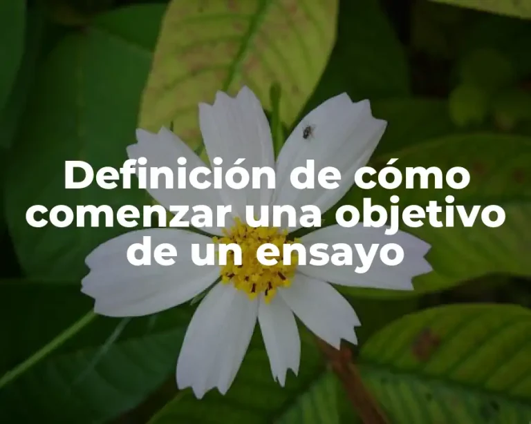 Definición de cómo comenzar una objetivo de un ensayo