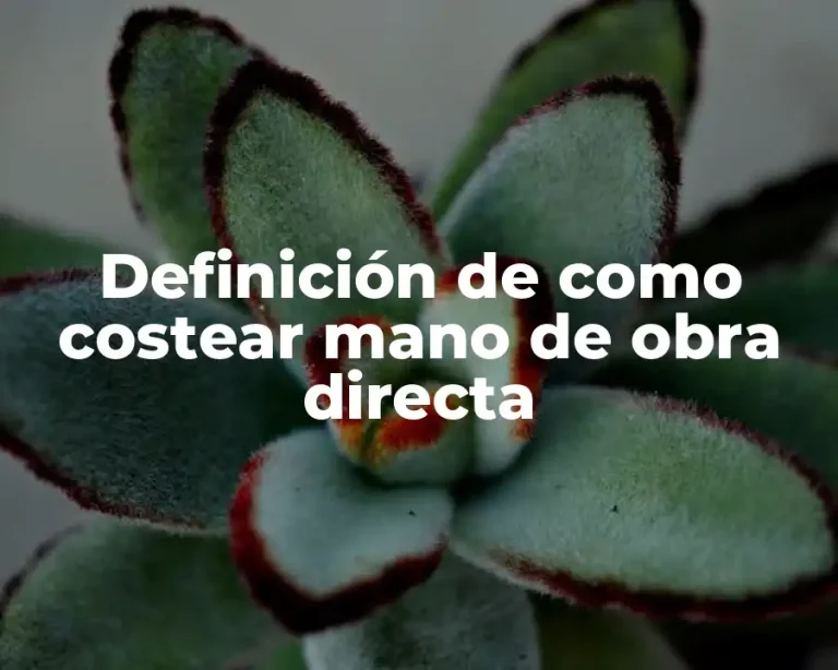Definición de como costear mano de obra directa