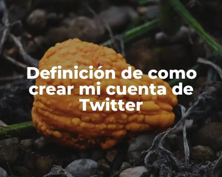 Definición de como crear mi cuenta de Twitter