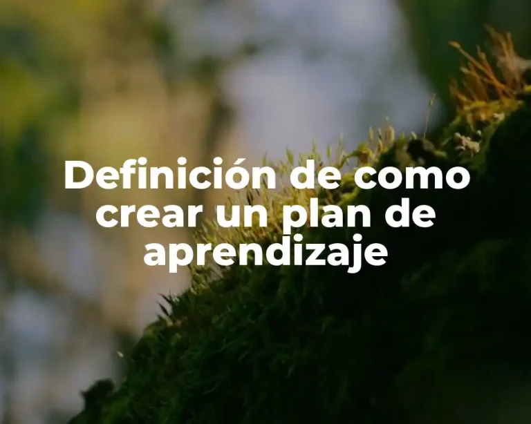 Definición de como crear un plan de aprendizaje