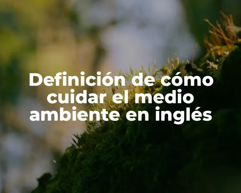 Definición de cómo cuidar el medio ambiente en inglés