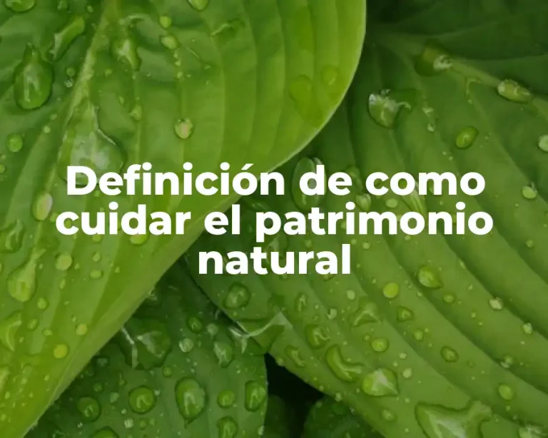 Definición de como cuidar el patrimonio natural