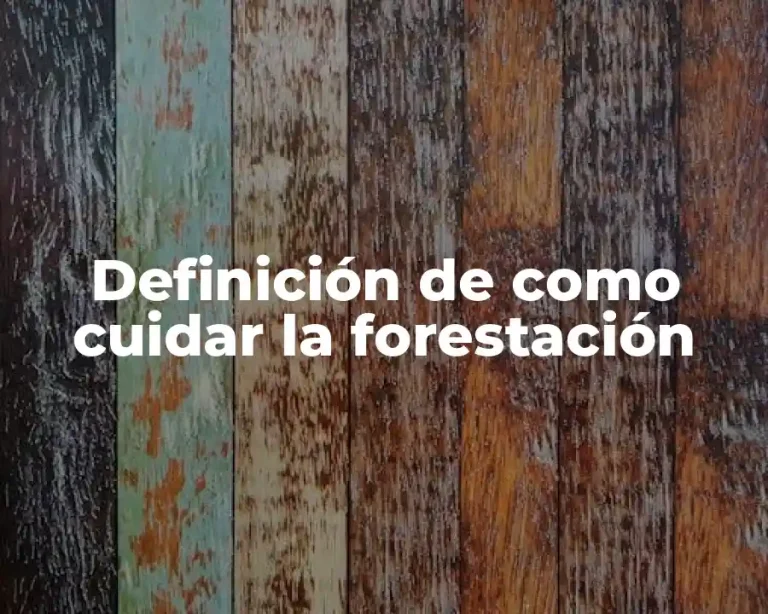 Definición de como cuidar la forestación