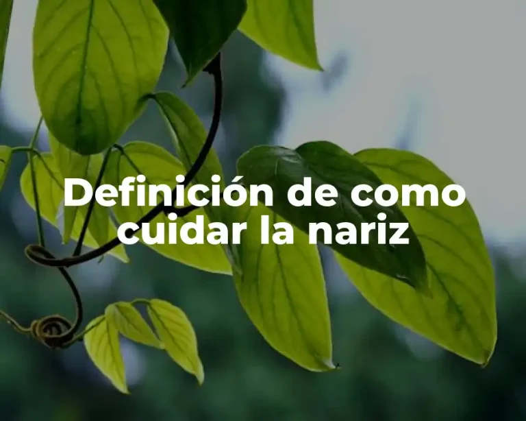 Definición de como cuidar la nariz