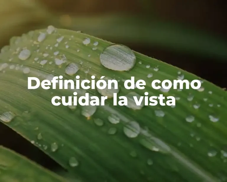 Definición de como cuidar la vista