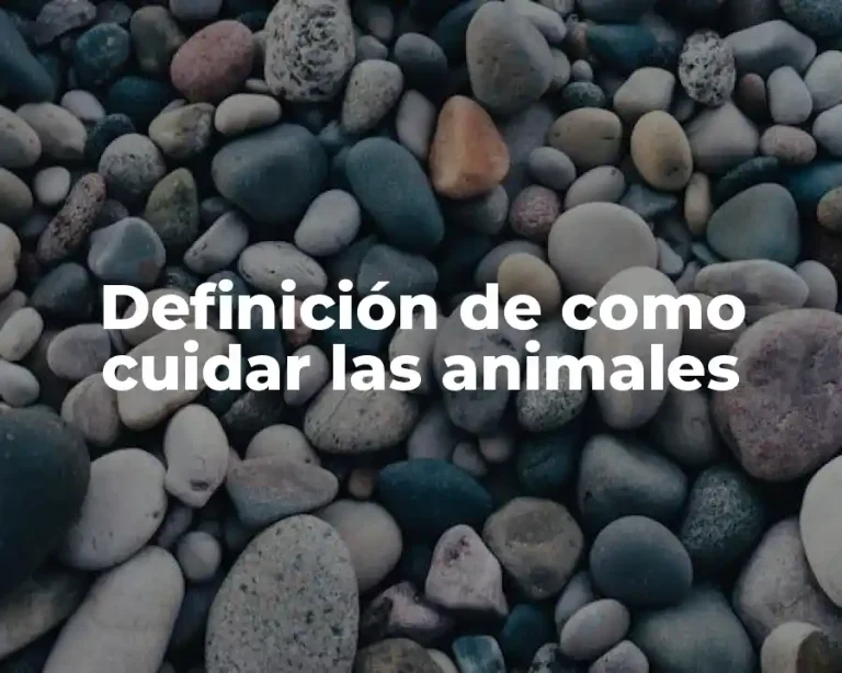 Definición de como cuidar las animales
