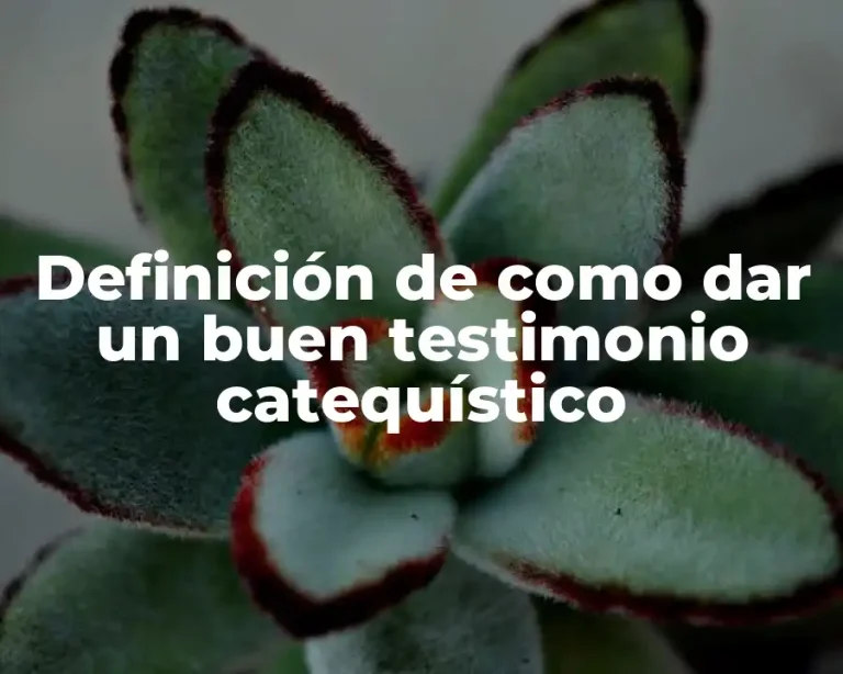 Definición de como dar un buen testimonio catequístico
