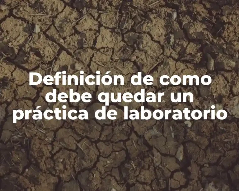 Definición de como debe quedar un práctica de laboratorio
