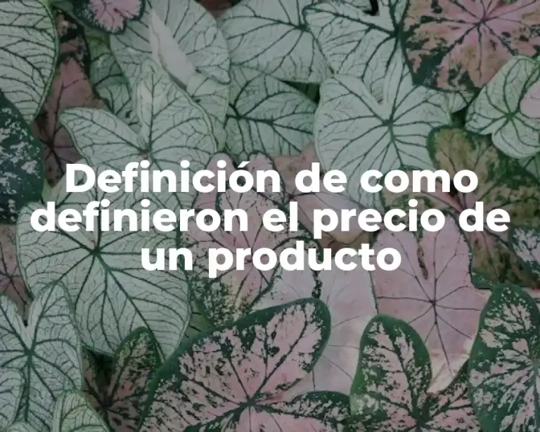 Definición de como definieron el precio de un producto