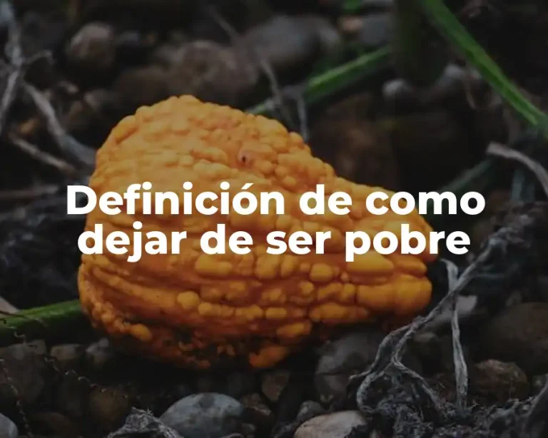 Definición de como dejar de ser pobre