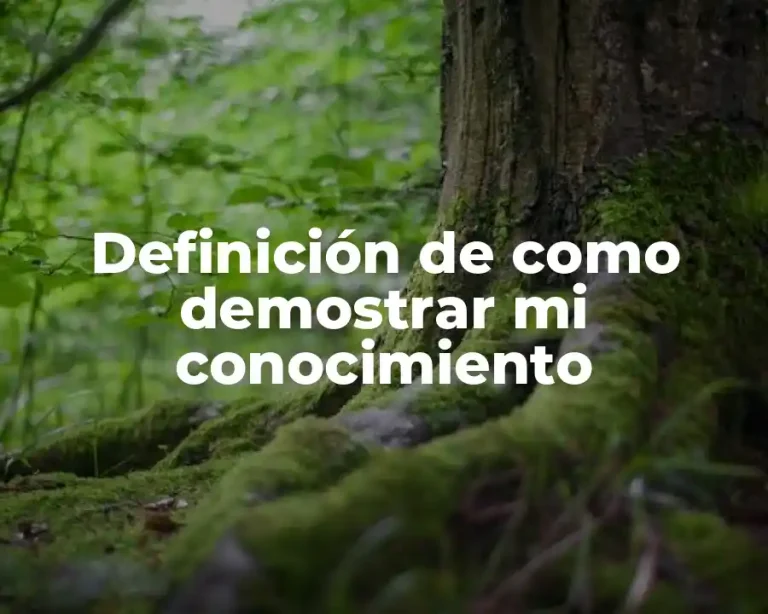 Definición de como demostrar mi conocimiento