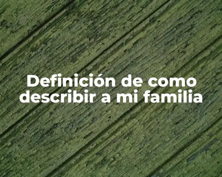 Definición de como describir a mi familia
