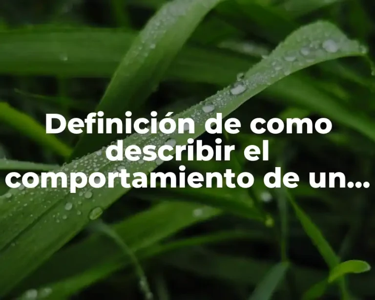 Definición de como describir el comportamiento de un hijo