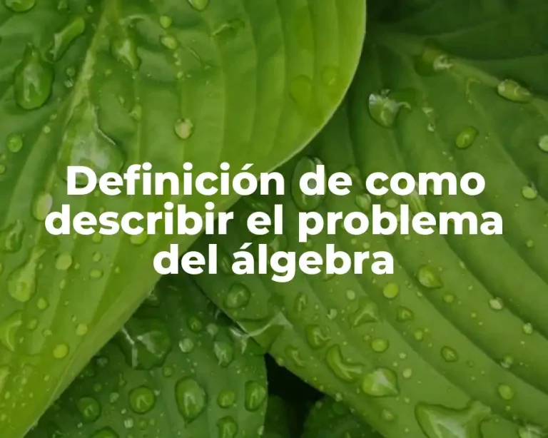 Definición de como describir el problema del álgebra