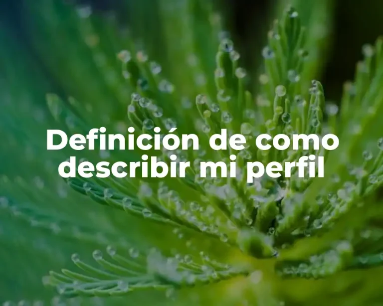 Definición de como describir mi perfil