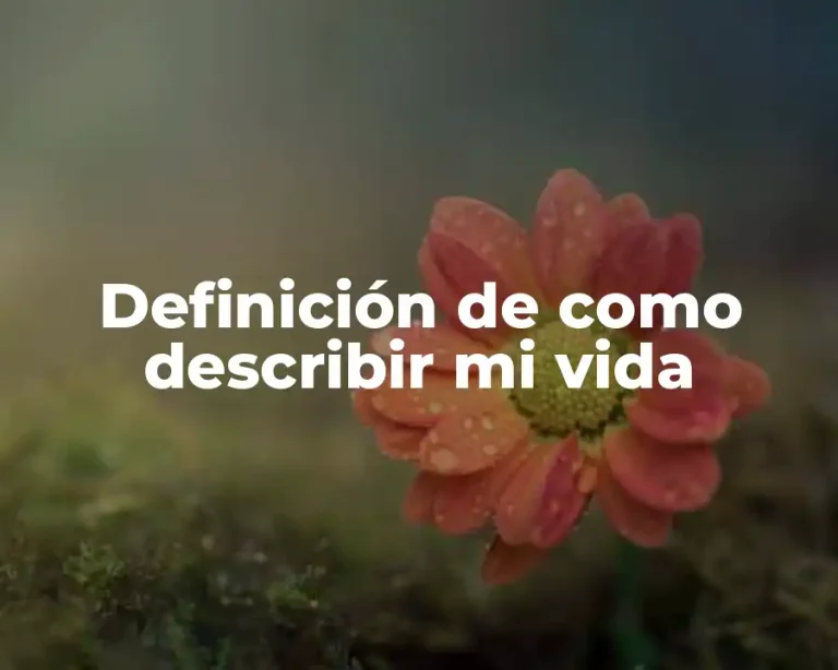 Definición de como describir mi vida