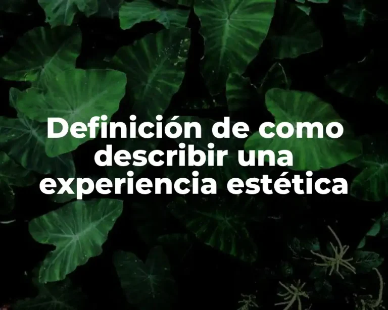 Definición de como describir una experiencia estética