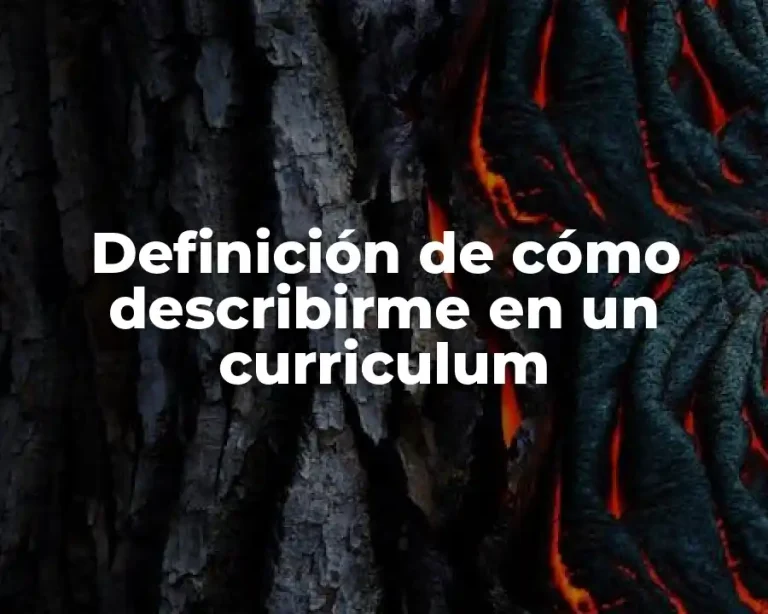 Definición de cómo describirme en un curriculum