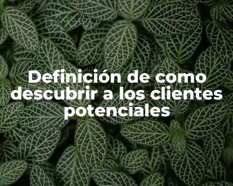 Definición de como descubrir a los clientes potenciales