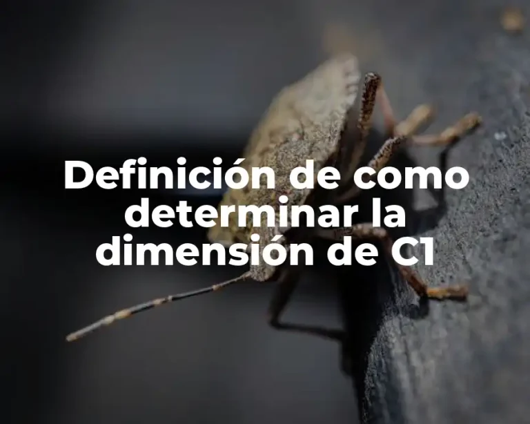 Definición de como determinar la dimensión de C1