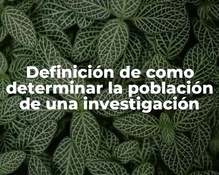 Definición de como determinar la población de una investigación