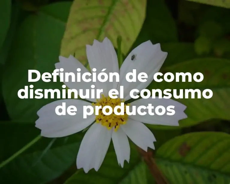 Definición de como disminuir el consumo de productos