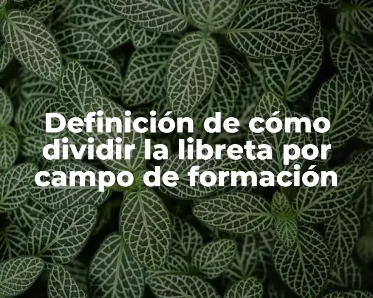 Definición de cómo dividir la libreta por campo de formación